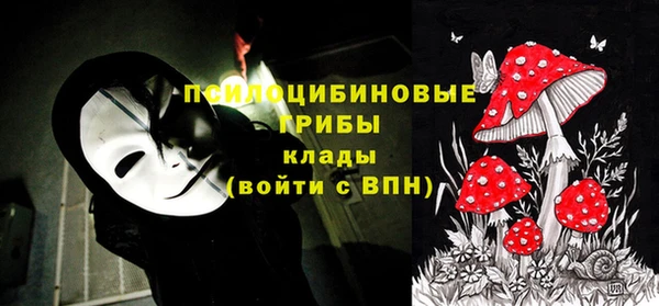твердый Алексин